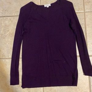Small petite loft brand sweater